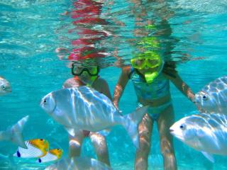 Kids snorkelling